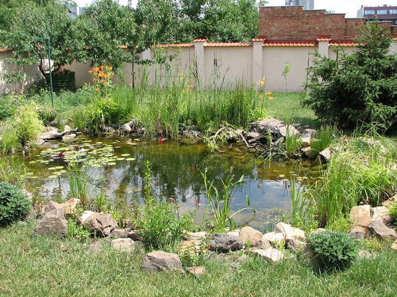 Kedvenc -szolnoki kertészet- ahol a kerti tó álmok valóra válnak