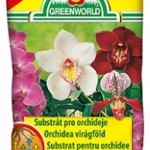 orchidea virágföldek