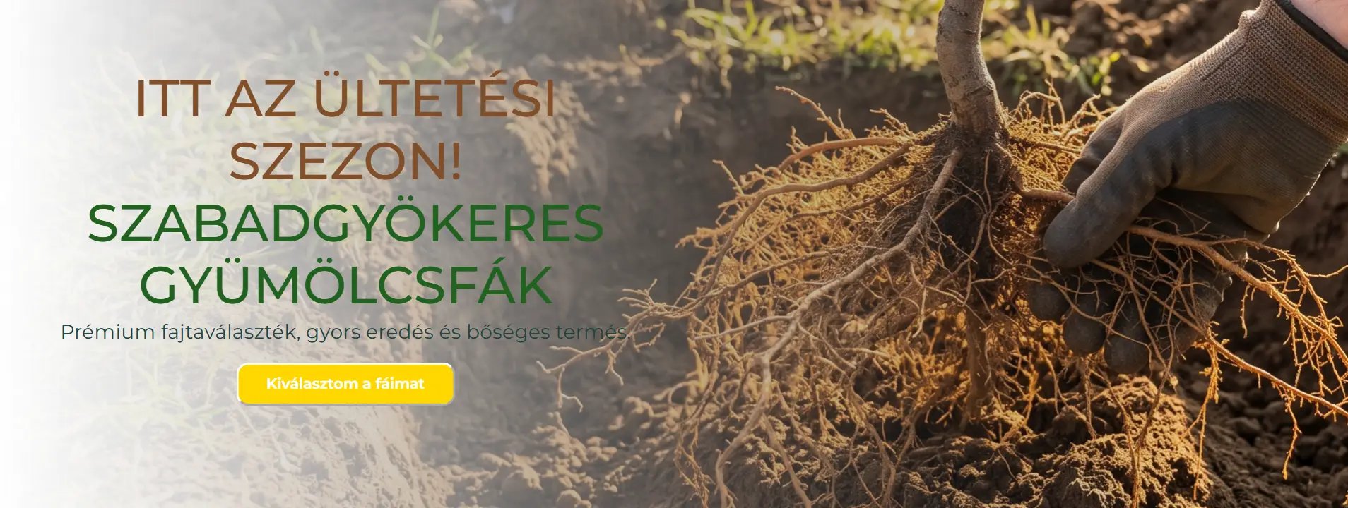 Gyümölcstermő növények