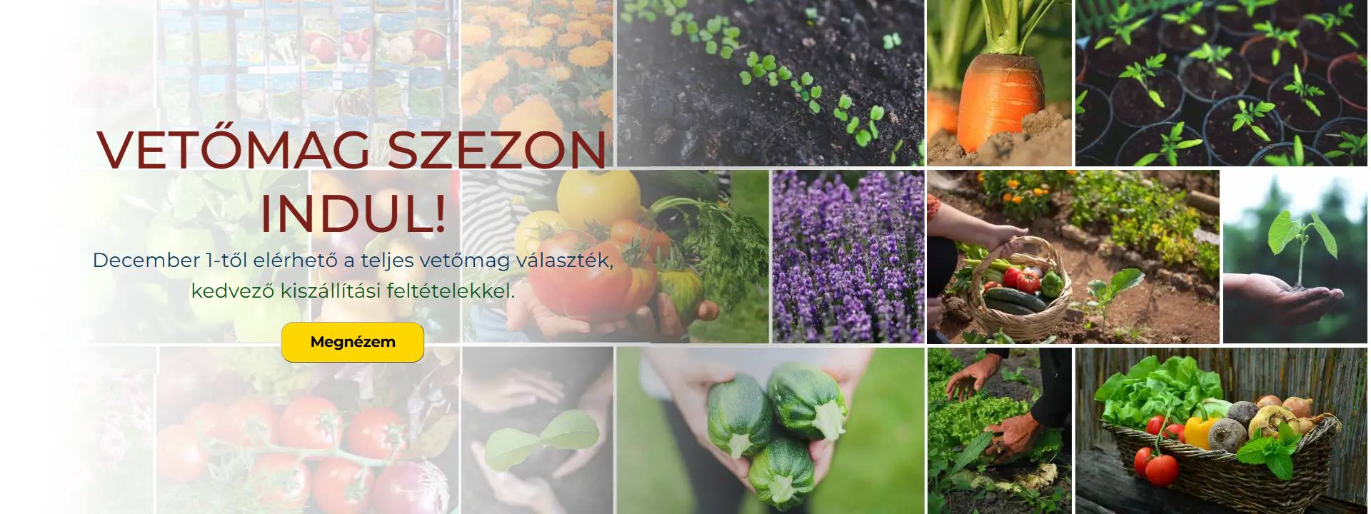 Vetőmagok